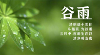 【二十四節(jié)氣灸】谷雨時(shí)節(jié)，用艾為您的健康加上一道保險(xiǎn)！