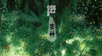 【二十四節(jié)氣灸】芒種節(jié)氣，培土補脾、養(yǎng)陰生津！艾灸這些穴位事半功倍！