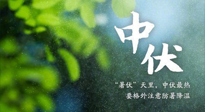 【三伏養(yǎng)生】至熱中伏，吃三樣，喝三樣，三大禁忌千萬別犯，小心落下病根！