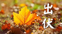 【三伏養(yǎng)生】出伏后做好養(yǎng)生很關(guān)鍵！一行要注意！
