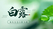 【二十四節(jié)氣灸】白露涼爽，養(yǎng)心肝脾胃、滋陰潤肺是關(guān)鍵！