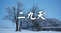 【三九養(yǎng)生】冬二九，扶陽補腎氣，讓你陽氣充足一整年！
