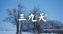 【三九養(yǎng)生】冬三九，三九第三灸，一年中最后艾灸黃金9天！