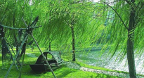 【養(yǎng)生知識(shí)】元宵入六九，春季已至，六九天的養(yǎng)生知識(shí)你知道多少？