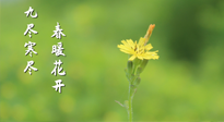【九九養(yǎng)生】三月四日“九九日”，寒冬已過(guò)。春天養(yǎng)好身，全年不怕??！