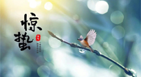 【二十四節(jié)氣灸】驚蟄節(jié)氣，艾灸喚醒抵抗力、補(bǔ)充陽(yáng)氣的最好時(shí)機(jī)！