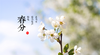 【二十四節(jié)氣灸】春分，平分了大地晝夜；艾灸，平衡了身體陰陽(yáng)！
