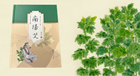 【行業(yè)資訊】國(guó)內(nèi)首部艾草專(zhuān)著《南陽(yáng)艾》，在南陽(yáng)新書(shū)首發(fā)！