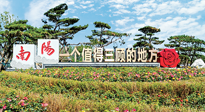 【行業(yè)資訊】南陽一個(gè)值得三顧的地方！“丹江水”“仙草艾”成為 “南陽禮物”新爆款！