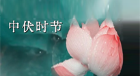 【艾灸三伏天】中伏：三伏灸的關(guān)鍵轉(zhuǎn)折點(diǎn)！“灸”除病根的大好時(shí)機(jī)！
