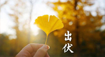 【艾灸三伏天】出伏啦！三防三宜兩穴位，防止身體“秋后算賬”！