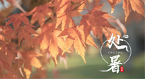 【二十四節(jié)氣灸】處暑，冬病夏治倒計(jì)時(shí)！秋涼真的要來了！