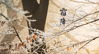【二十四節(jié)氣灸】霜降節(jié)氣：艾灸四穴，護您冬天安然無恙！