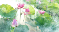 【養(yǎng)生知識】花開半夏，夏至養(yǎng)生，這些知識一定要牢記！