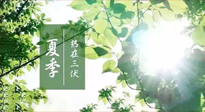 【艾灸三伏天】今年三伏不一般，仙草小助理建議大家早作準備哦！