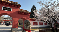 【行業(yè)資訊】新華財(cái)經(jīng)：守正創(chuàng)新，中醫(yī)藥品牌化發(fā)展“更上一層樓”！