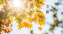 【節(jié)氣飲食】立秋將至，吃最合適的飲食，平穩(wěn)度過(guò)季節(jié)交替！