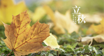 【節(jié)氣養(yǎng)生】甲辰立秋，“2做”、“2不做”，護(hù)好我們身體的正氣，預(yù)防外邪的侵襲！