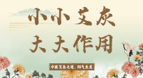 【艾草知識】艾灰真是個巨好用的東西，?它的神奇功效，你知道多少？